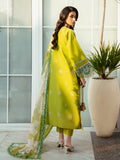 312 - B | 3 PC Lawn -  Binilyas