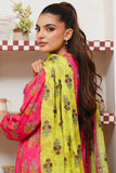 Kurta Dupatta - 2066 -ZELLBURY