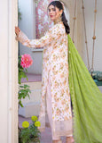 Riaz Arts Embroidered Lawn Suits Unstitched 3 Piece RA25LK 2004 - Summer Collection