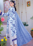 Riaz Arts Embroidered Lawn Suits Unstitched 3 Piece RA25LK 2005 - Summer Collection